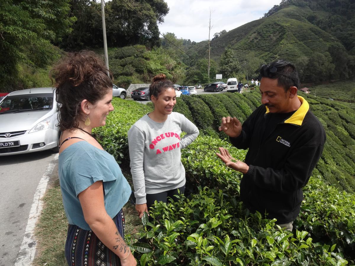 A Pousada Orchid Haven Cameron Highlands Exterior foto