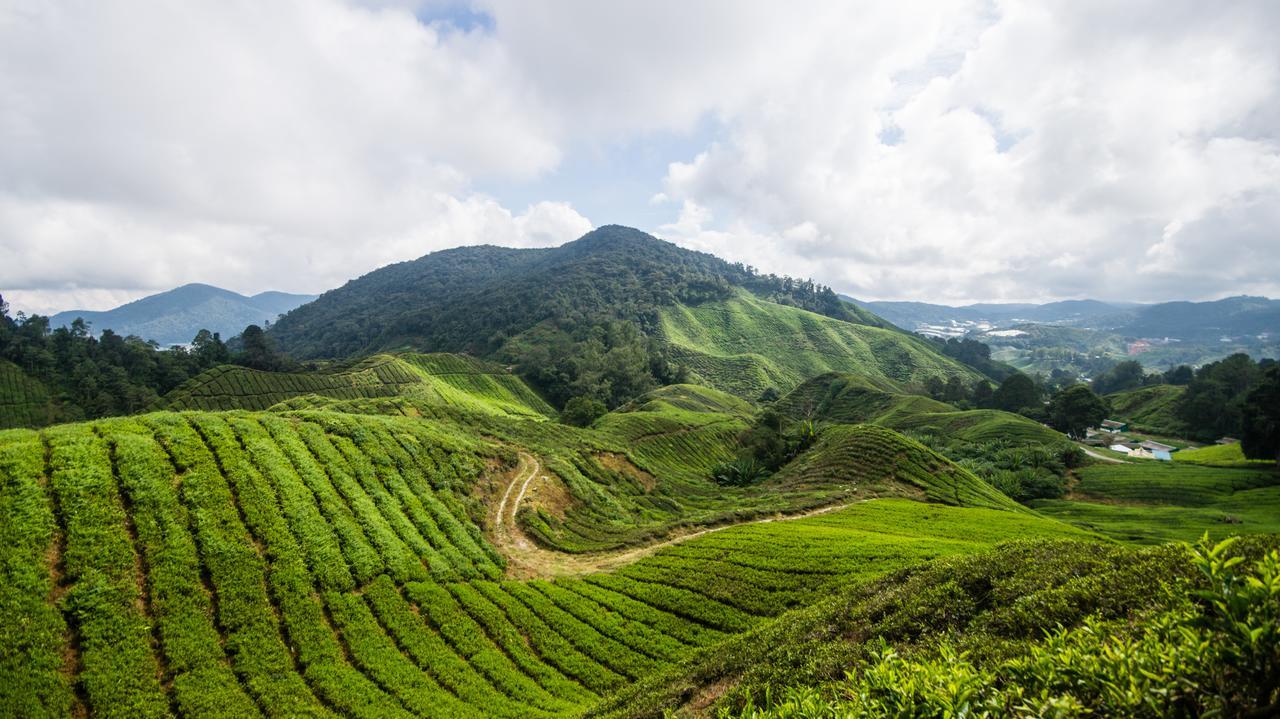 A Pousada Orchid Haven Cameron Highlands Exterior foto