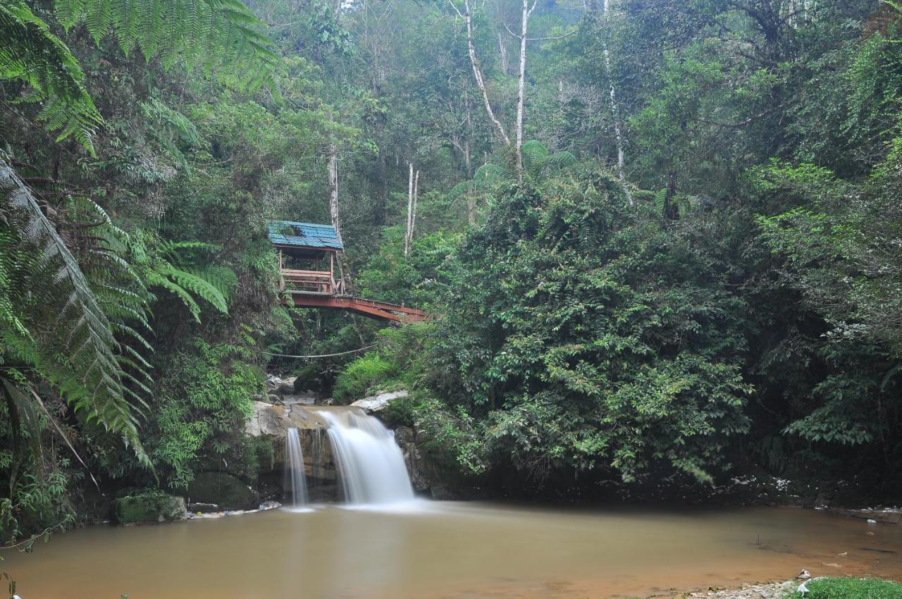 A Pousada Orchid Haven Cameron Highlands Exterior foto