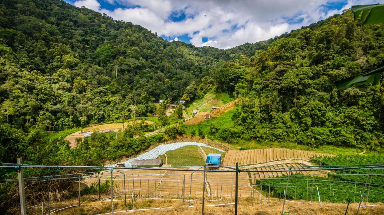 A Pousada Orchid Haven Cameron Highlands Exterior foto