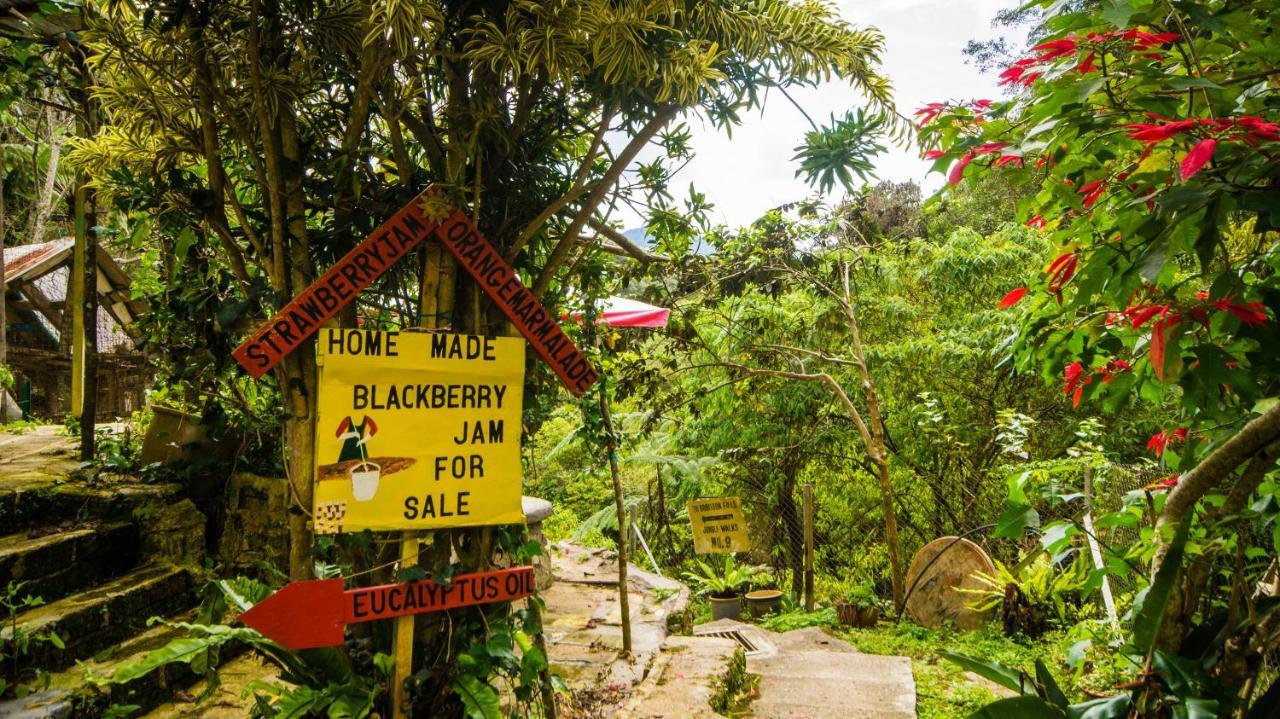 A Pousada Orchid Haven Cameron Highlands Exterior foto