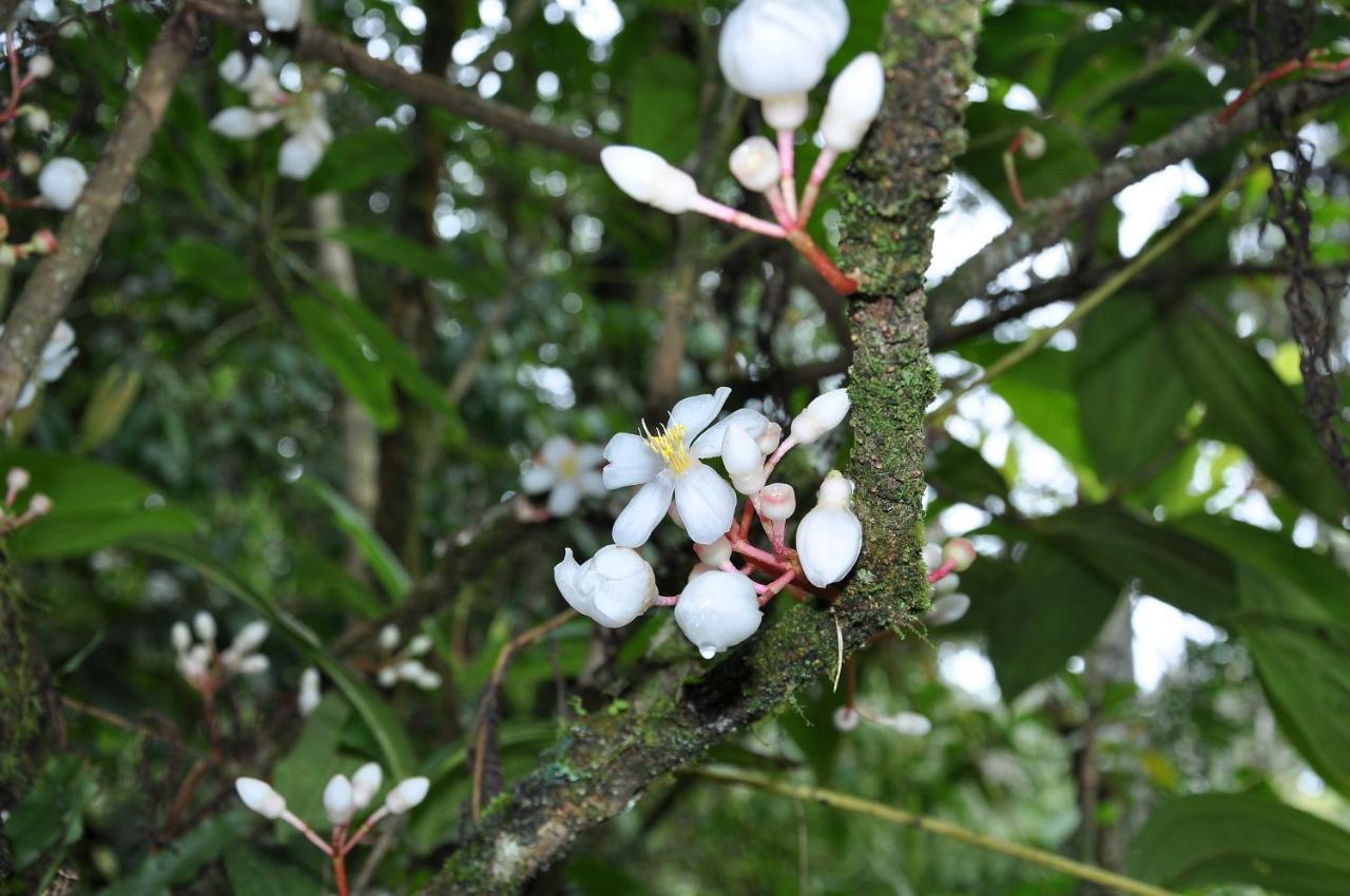 A Pousada Orchid Haven Cameron Highlands Exterior foto